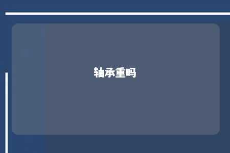 轴承重吗 